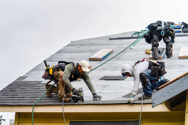 Professional Roofing technician working in Mc Alisterville, PA
